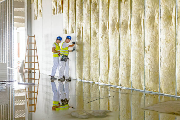 Best Commercial Insulation in Circle D Kc Estates, TX